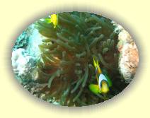 IMG_2007_05_29 15_59_53 * 3072 x 2304 * (840KB)